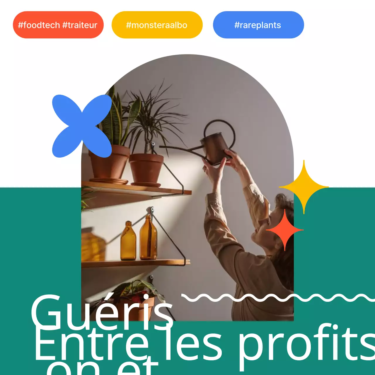 Des propositions colorées pour la technologie alimentaire