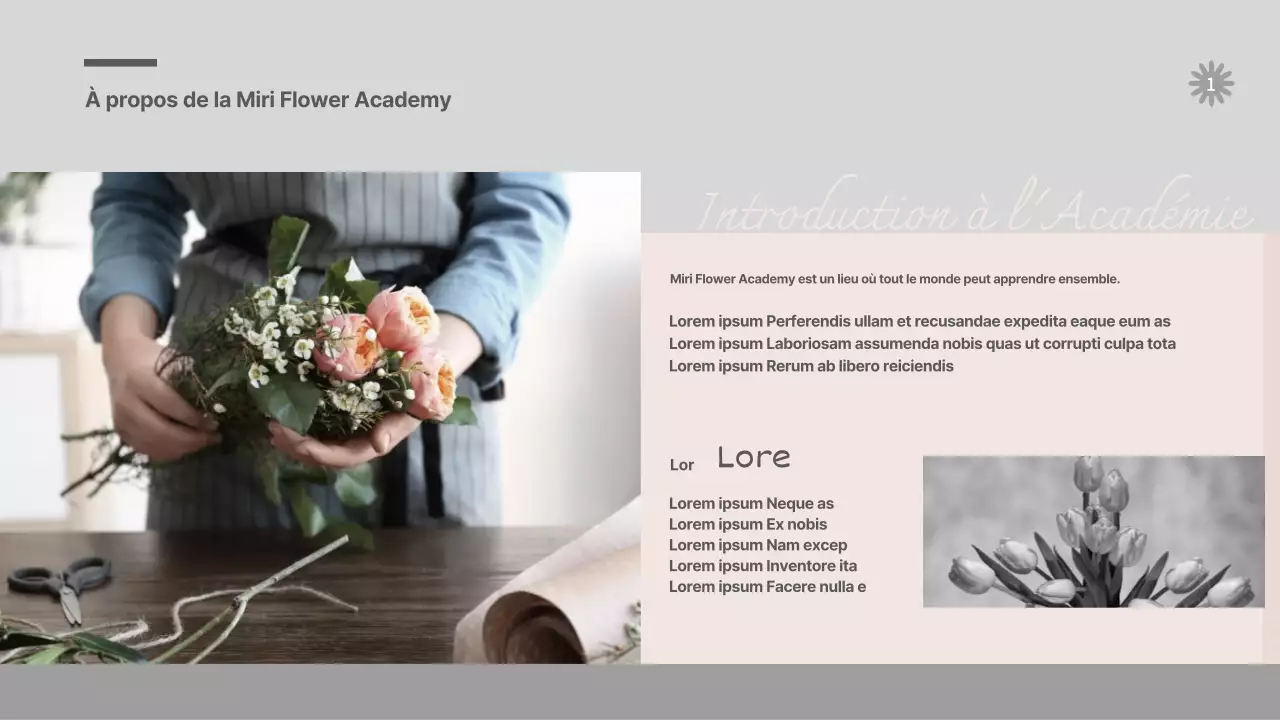 Guide des fleurs grises et roses cours d'une journée