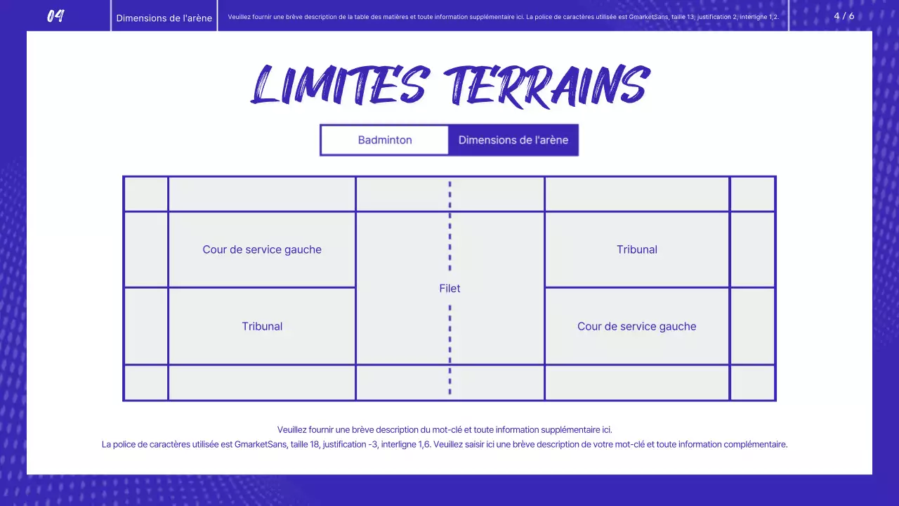 Badminton bleu et blanc Évaluation de la performance physique Leçon guidée