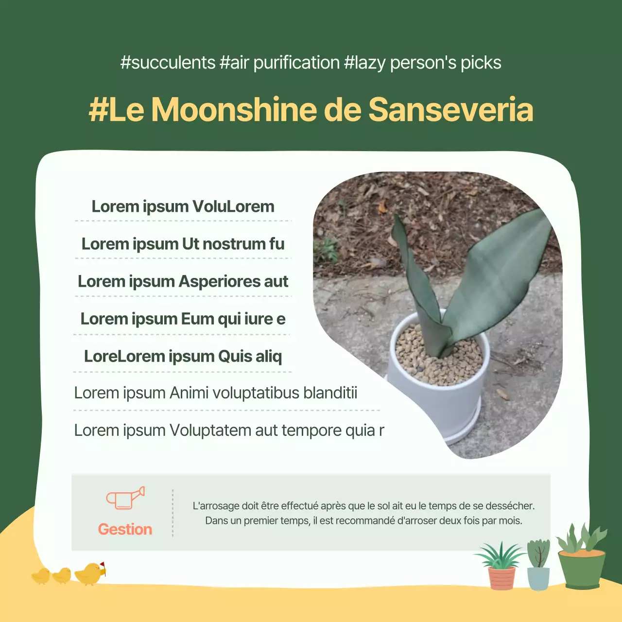 Carte de recommandations pour animaux de compagnie verte et jauneNews design