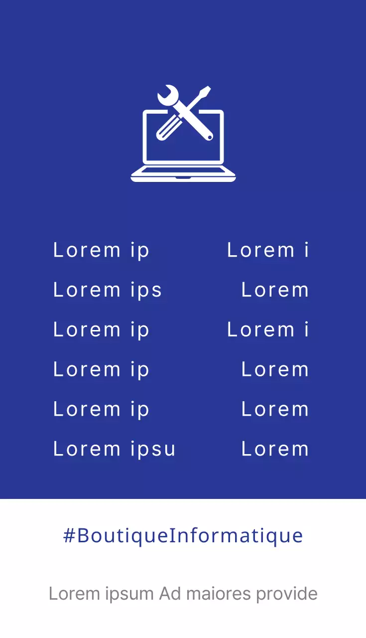 Magasins d'informatique