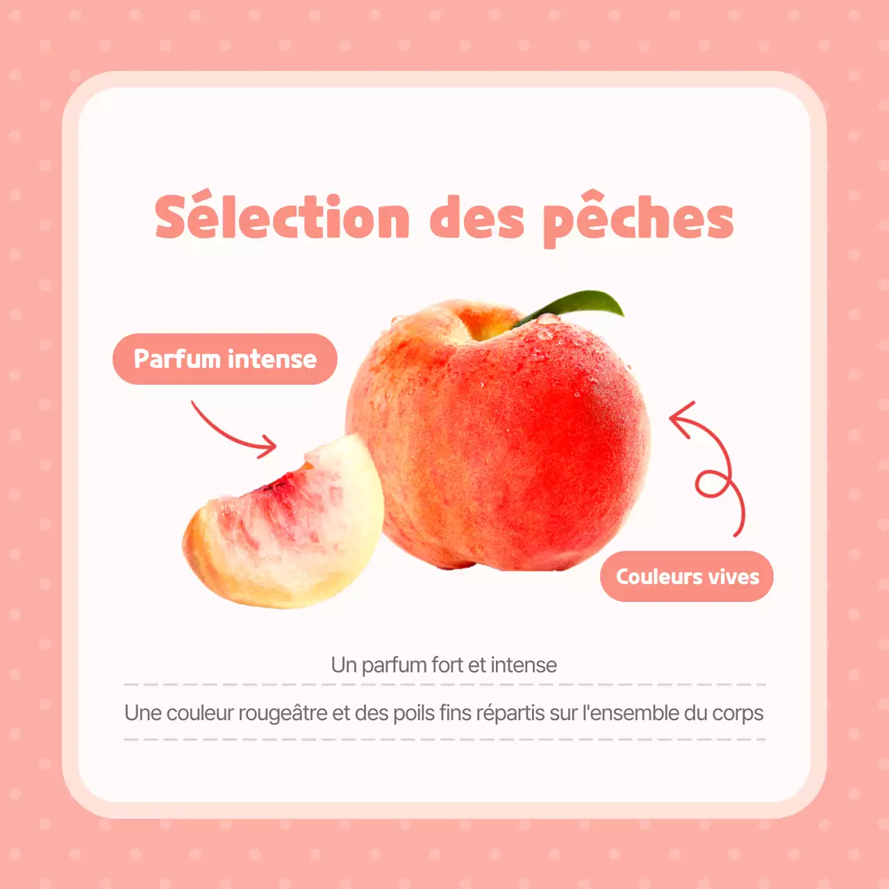 Conseils pour choisir des pêches roses, jolies et délicieuses
