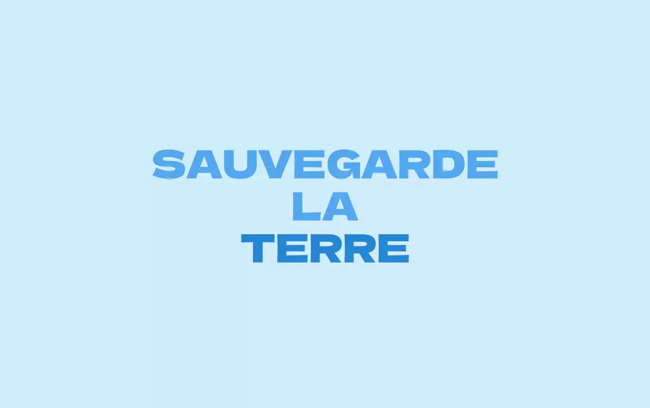 Un concept épuré pour une organisation environnementale avec l'illustration d'un ours polaire en bleu clair et bleu.
