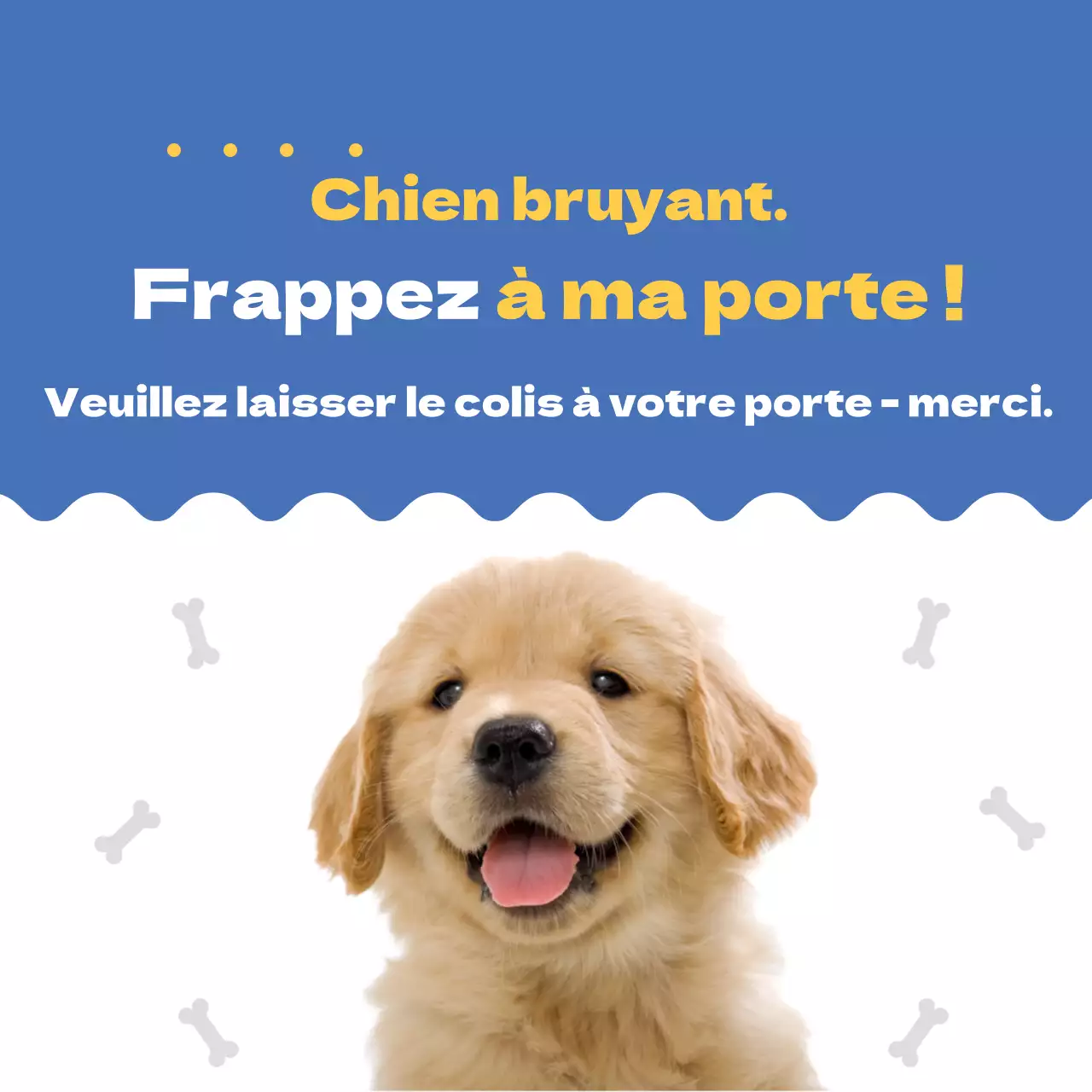Chien Bleu Mignon Accueil