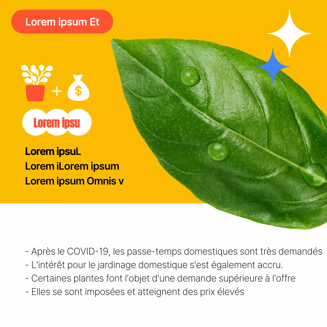 Des propositions colorées pour la technologie alimentaire