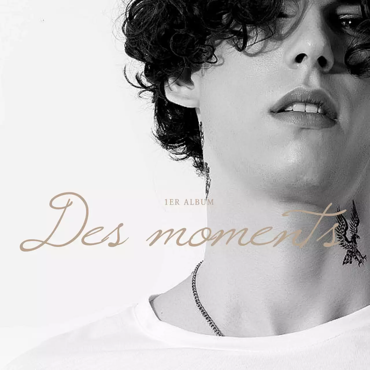 Sac écologique blanc simple pour la marchandise photographique