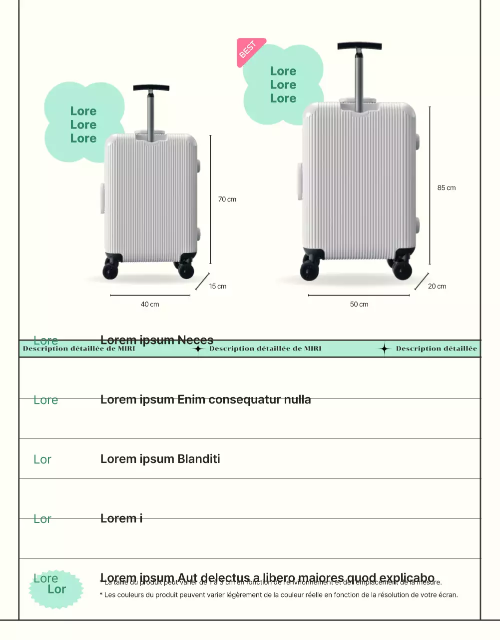 Promouvoir les bagages de vacances avec des lignes simples et mentholées