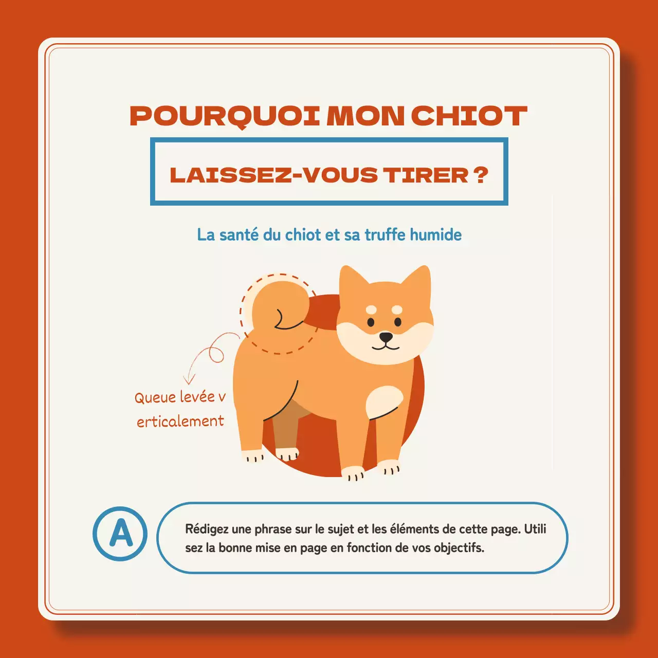 Les chiots rouges et bleus expliqués