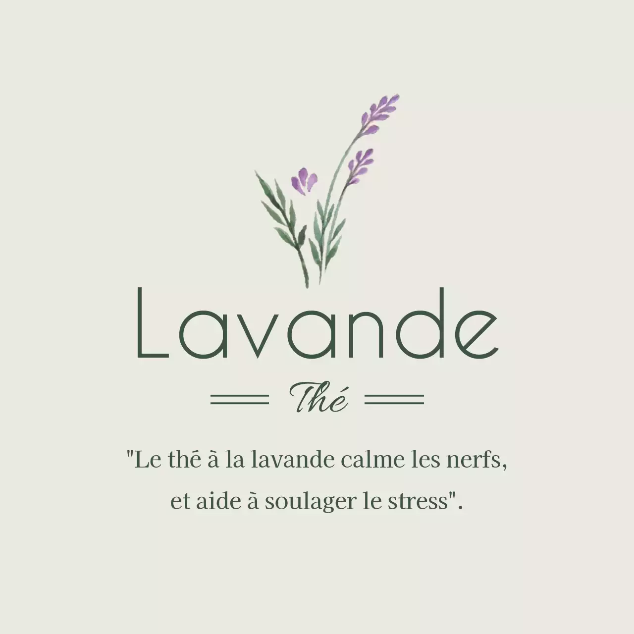 Lavande