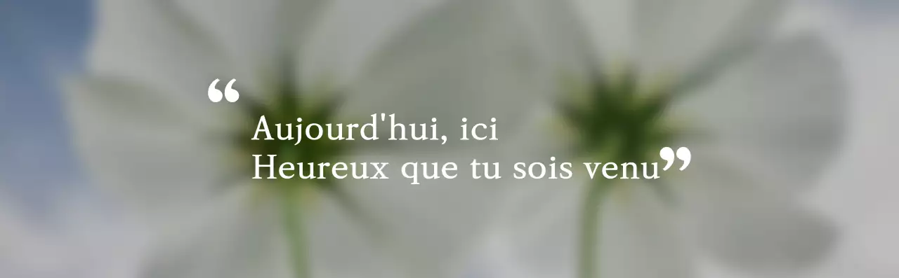 Papeterie d'intérieur sentimentale au style simple