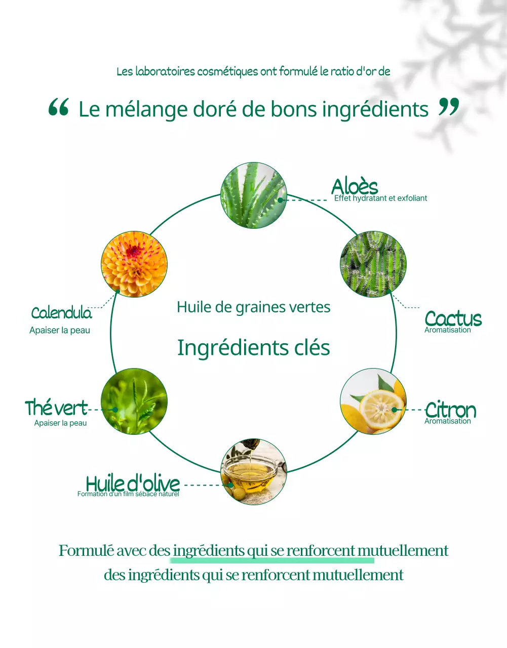 Wadiz Detail Page_Beauty