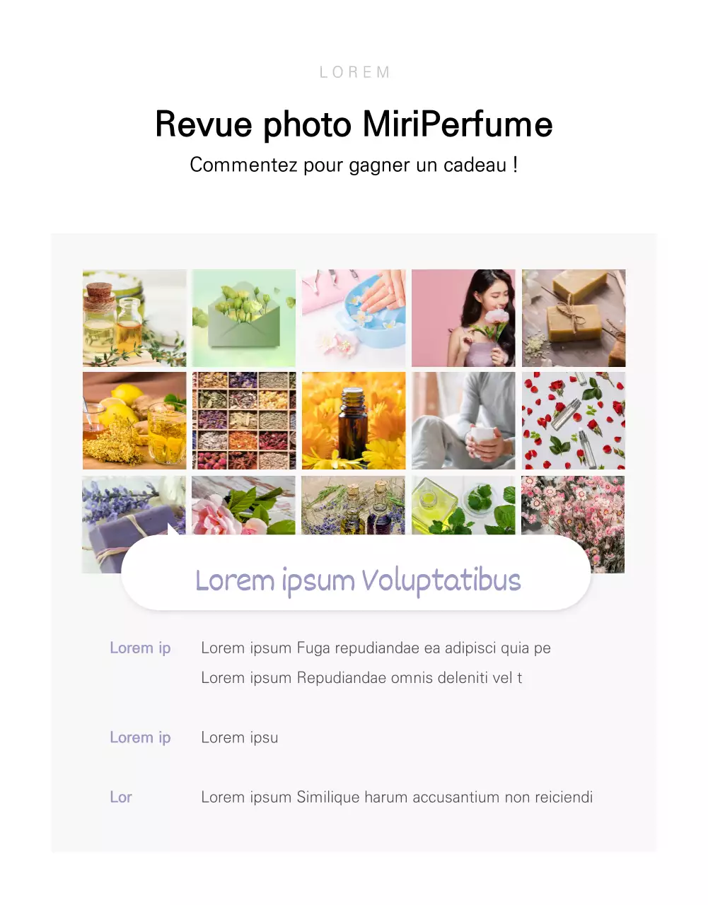 Page détaillée sur les constantes des fibres