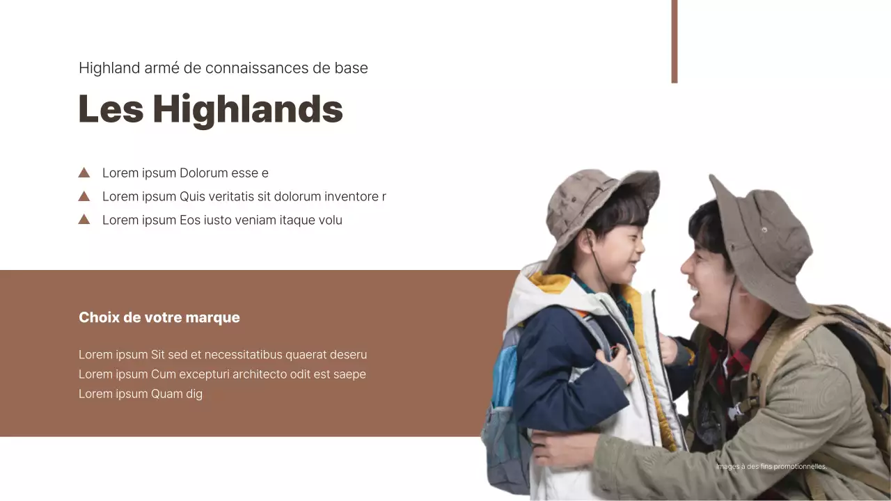 Brune et simple pour présenter des études de cas