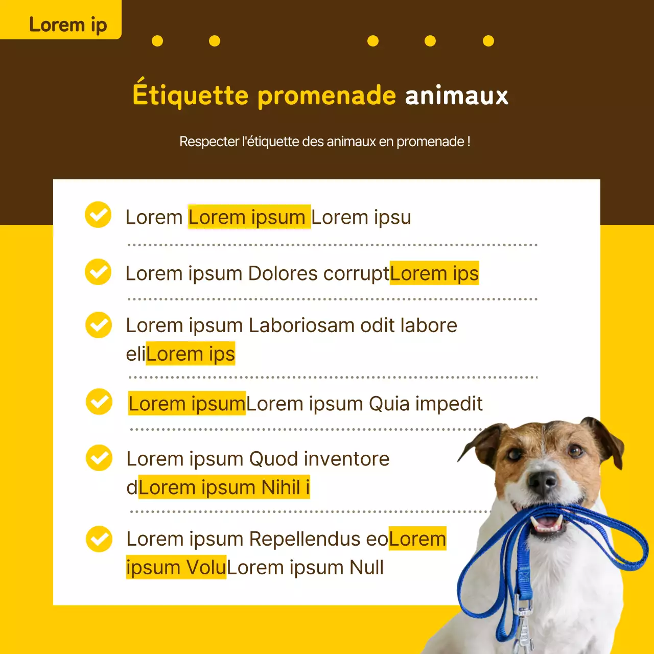 Billet d'information pour animaux de compagnie en jaune et bronze