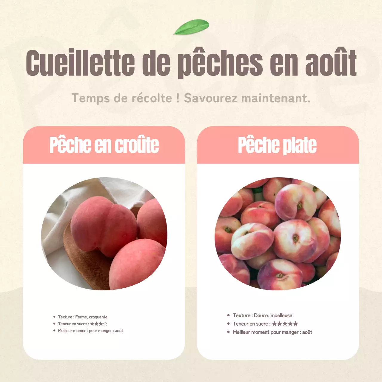 Comment conserver de jolis fruits dans les pêches roses et beiges
