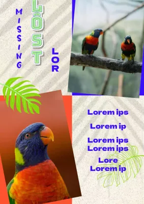 Prospectus pour la recherche d'un joli perroquet bleu-orange 1