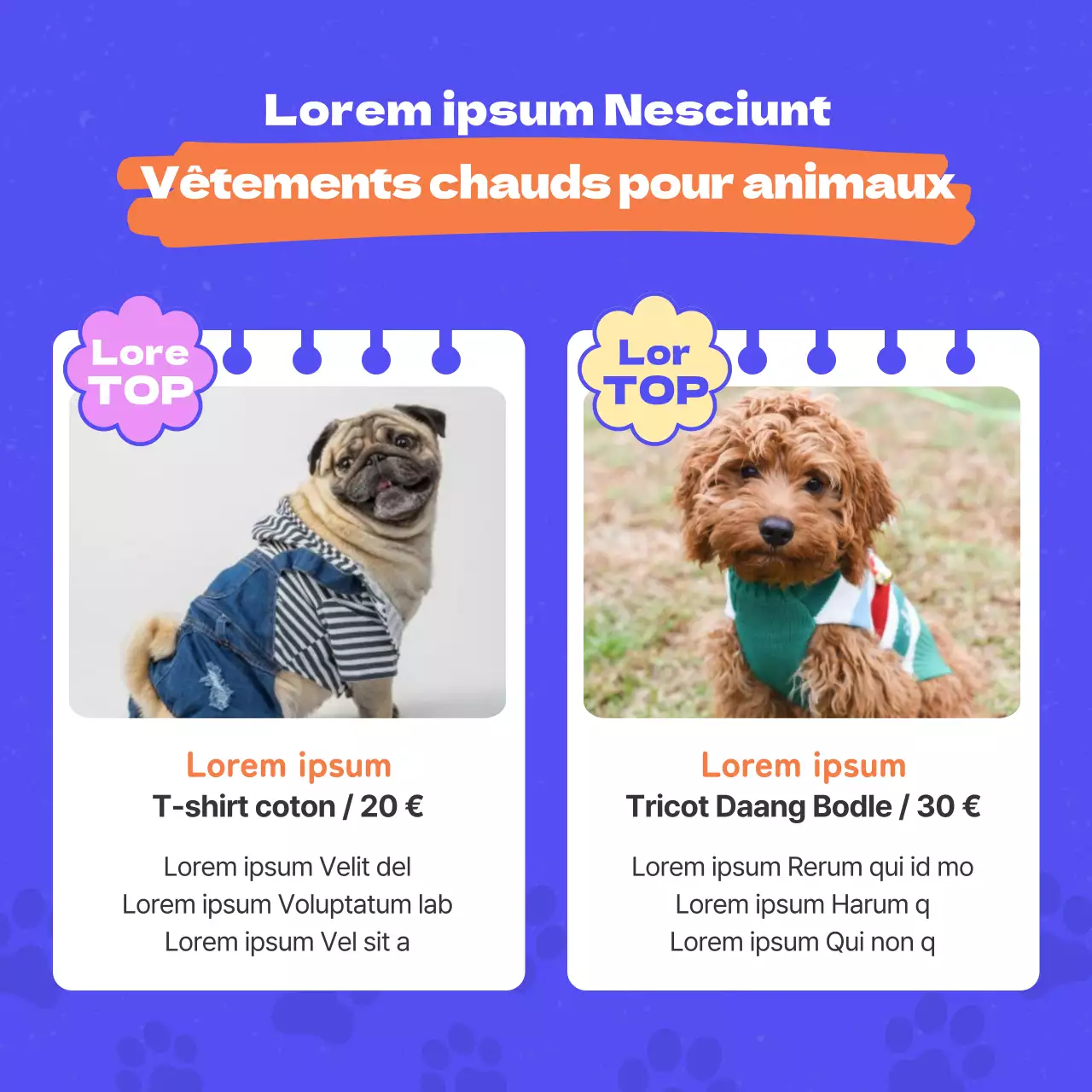 Promouvoir les vêtements pour chiens avec des touches d'orange et de bleu