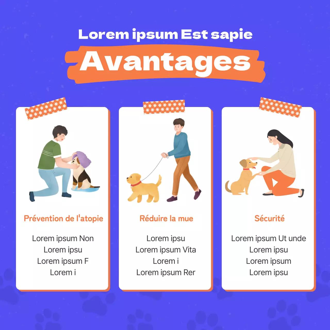 Promouvoir les vêtements pour chiens avec des touches d'orange et de bleu