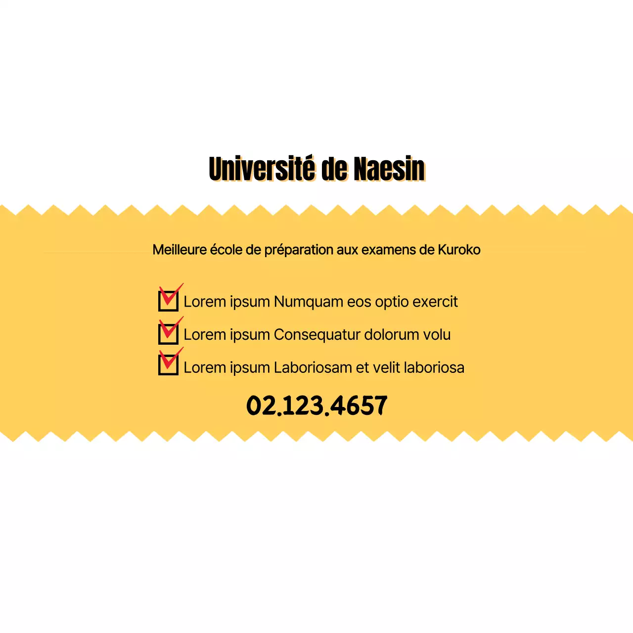 Université de Naesin