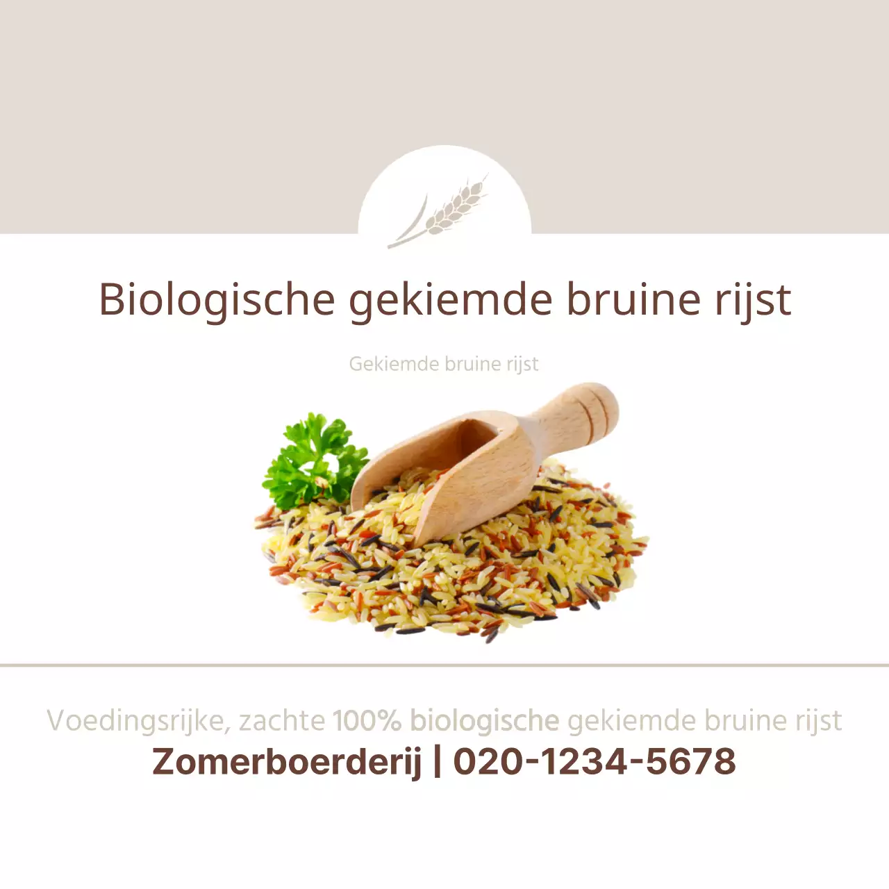 Gekiemde bruine rijst