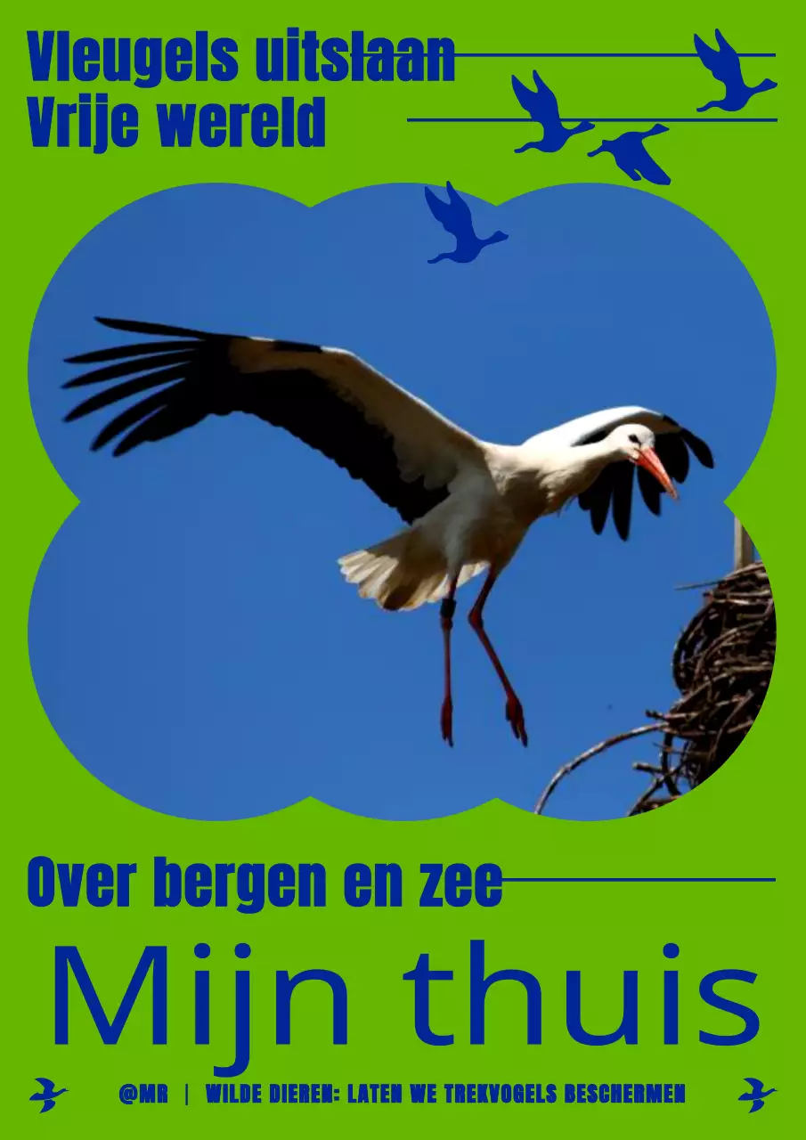 Een eenvoudige poster voor het behoud van trekvogels in chartreuse en marineblauw.