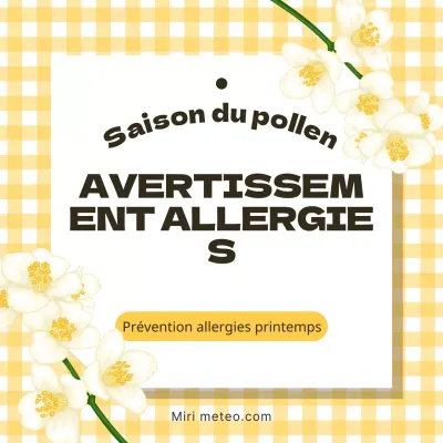 Une campagne de sensibilisation au pollen mettant en scène des damiers jaunes et des fleurs.