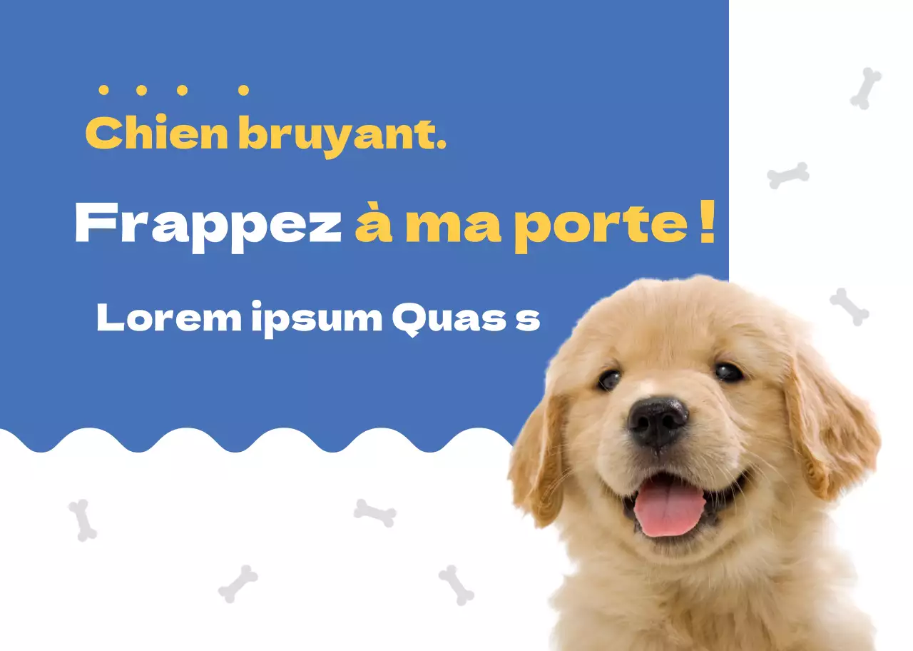 Chien Bleu Mignon Accueil