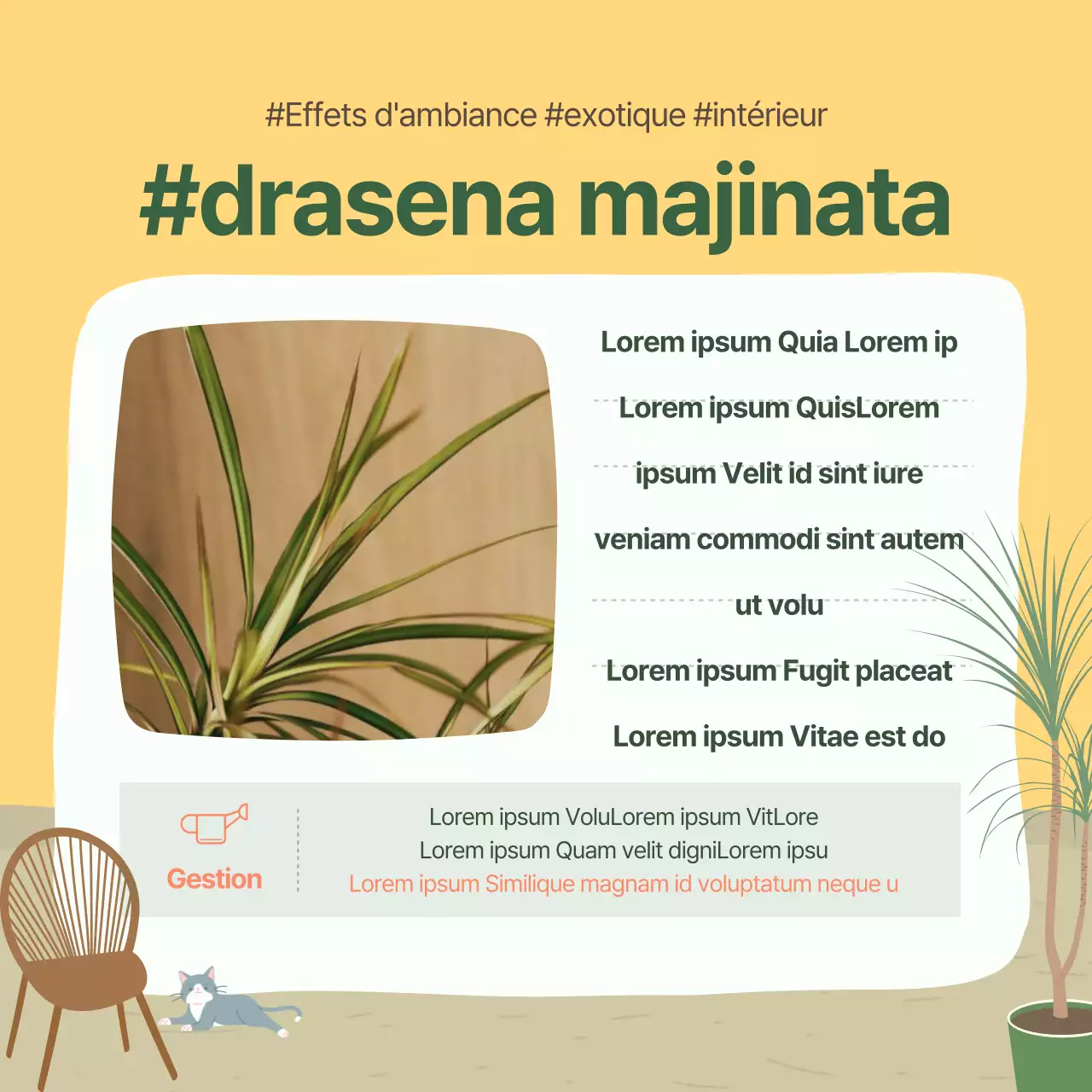 Carte de recommandations pour animaux de compagnie verte et jauneNews design