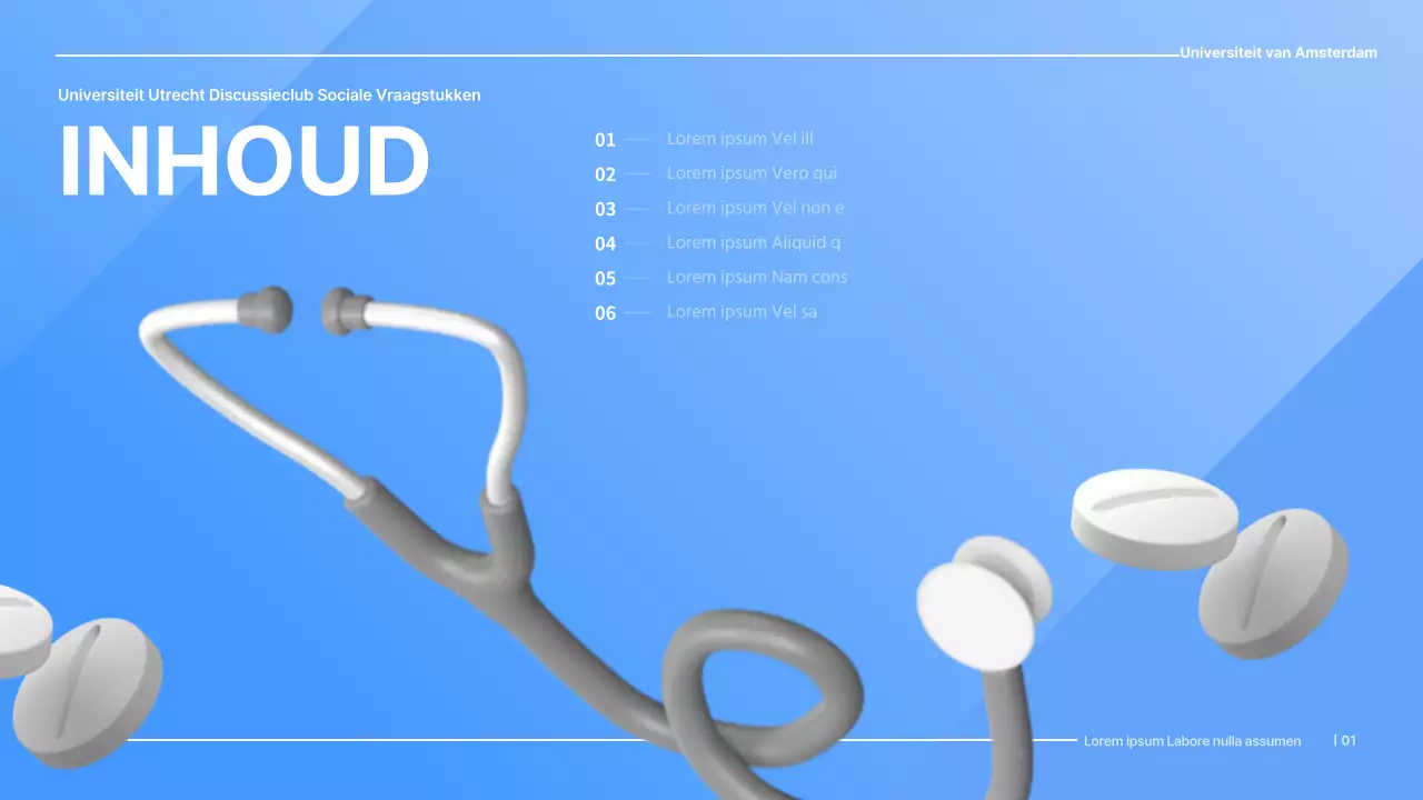 Blauwe Eenvoudige Presentatie voor het Debat over Privatisering van de Gezondheidszorg