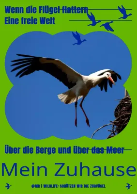 Ein einfaches Poster zum Schutz von Zugvögeln in Chartreuse und Marineblau.