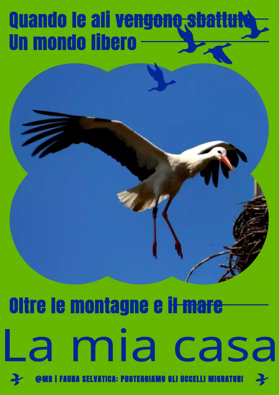 Un semplice poster per la conservazione degli uccelli migratori in colore chartreuse e blu navy.