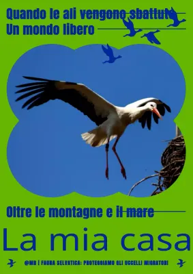 Un semplice poster per la conservazione degli uccelli migratori in colore chartreuse e blu navy.