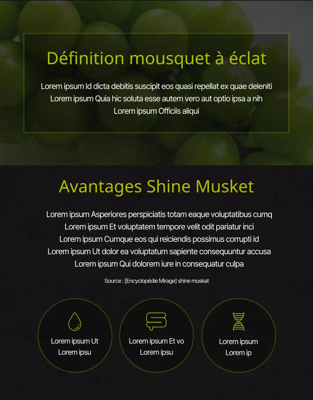 Muscat de qualité supérieure à haute teneur en sucre en noir et vert pour la collecte de fonds promotion des ventes agriculteurs locaux petites entreprises alimentation locale