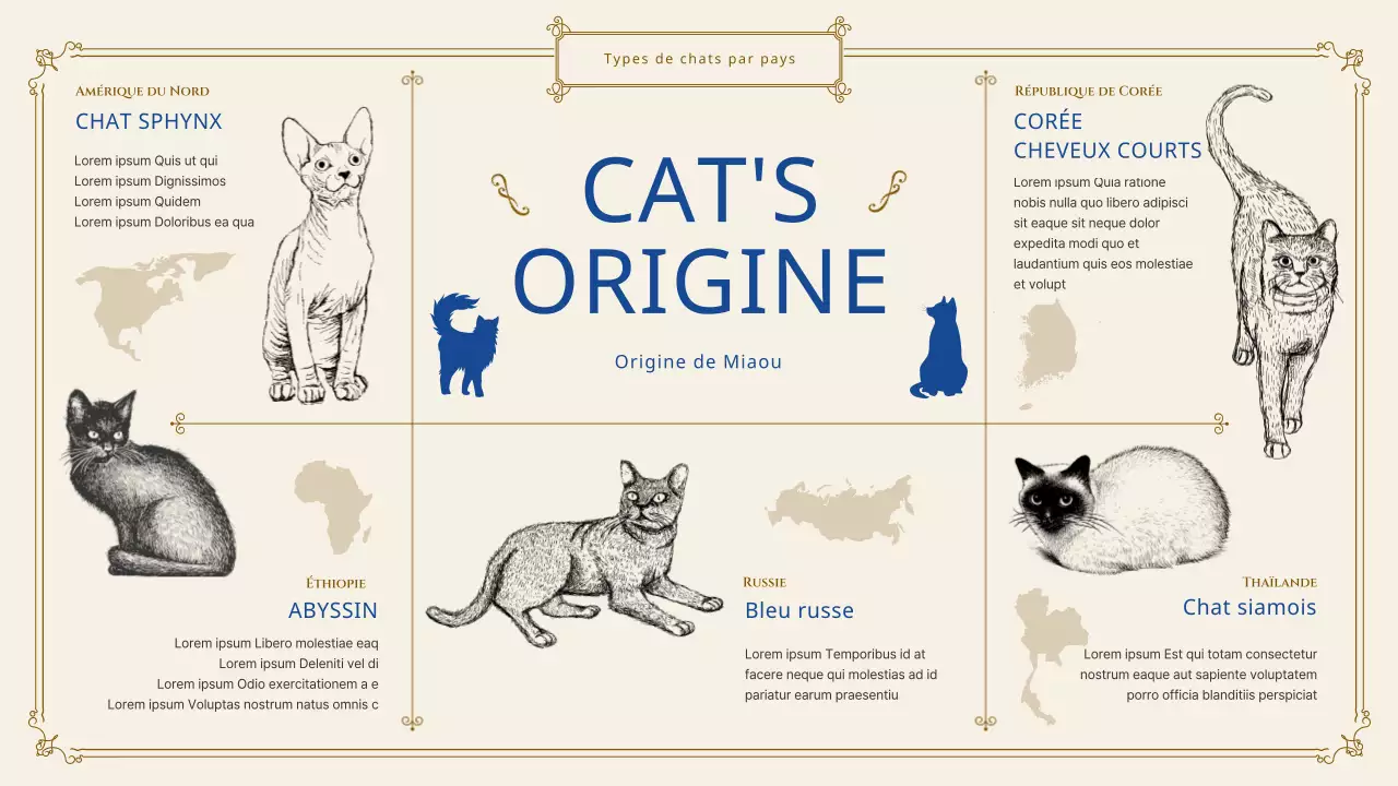 Fournir des informations sur les chats classiques