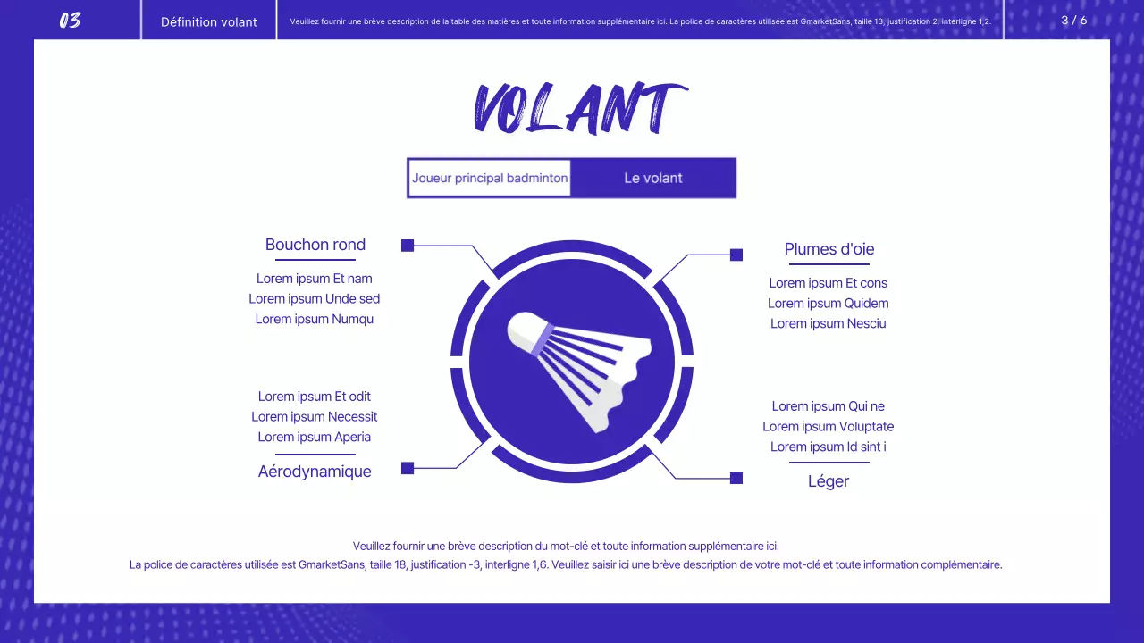 Badminton bleu et blanc Évaluation de la performance physique Leçon guidée