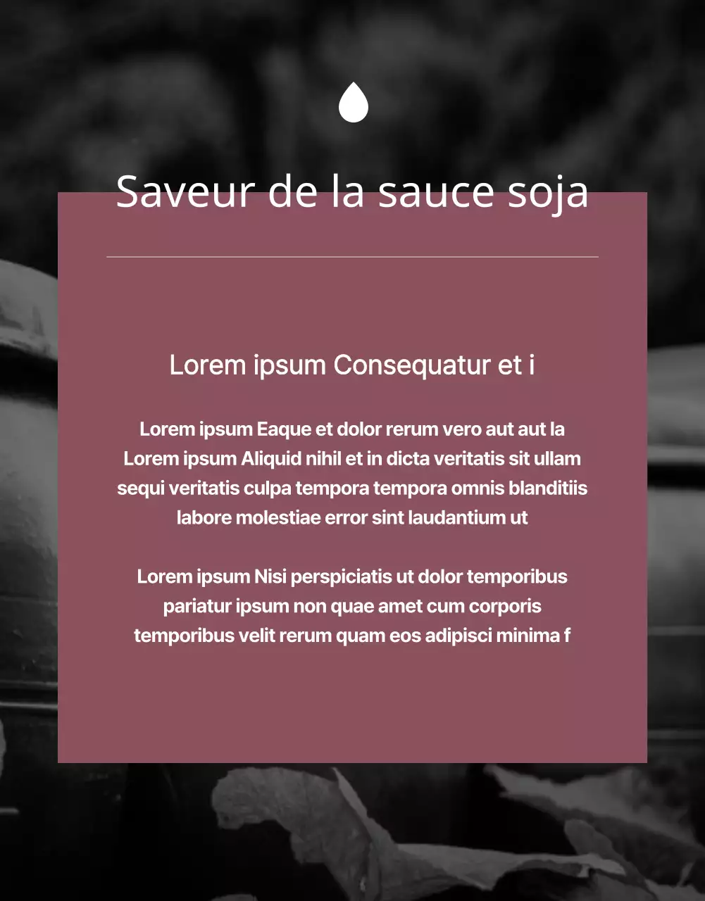 Financement d'un luxueux chèque-repas noir et brun en édition limitée (page de détail)