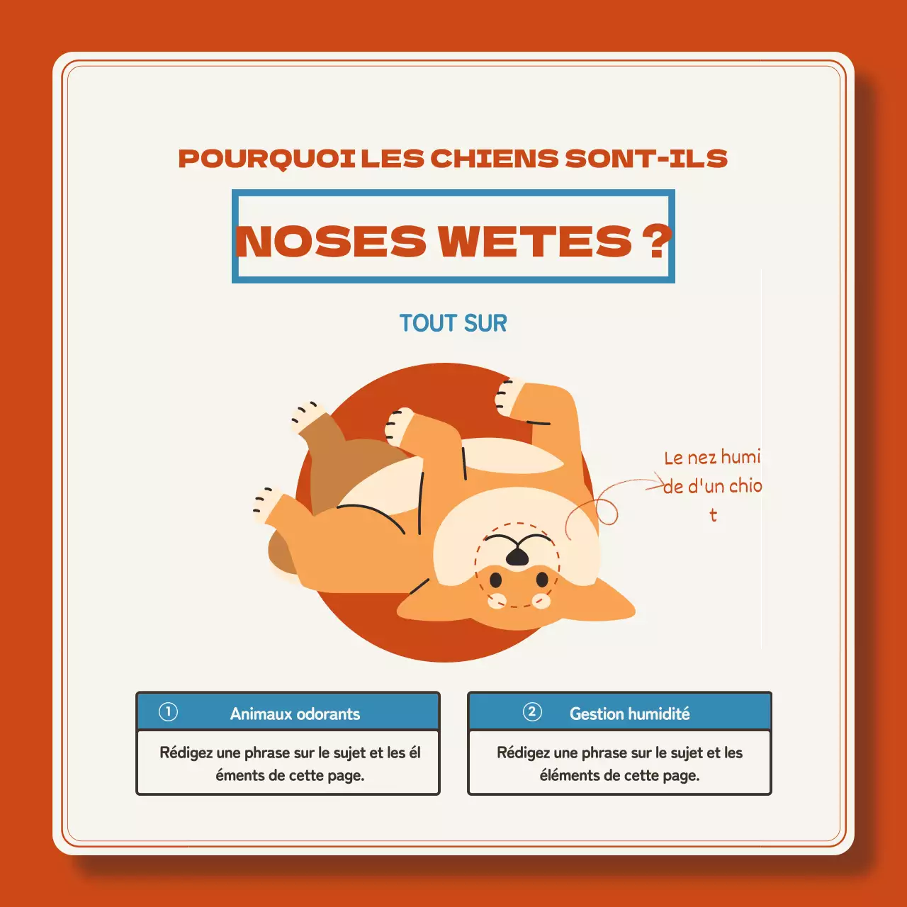 Les chiots rouges et bleus expliqués