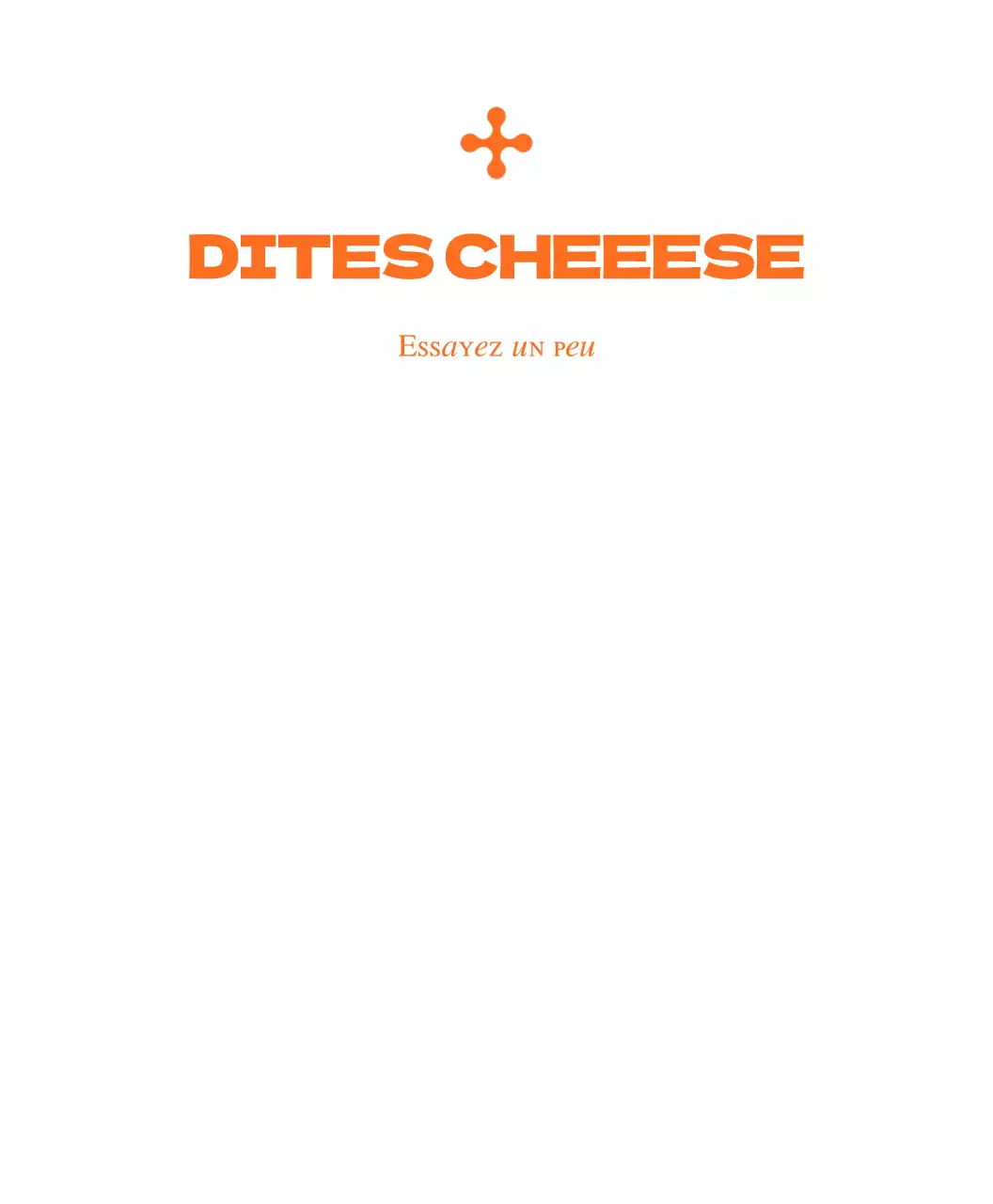 Illustration du fromage en tranches à l'orange
