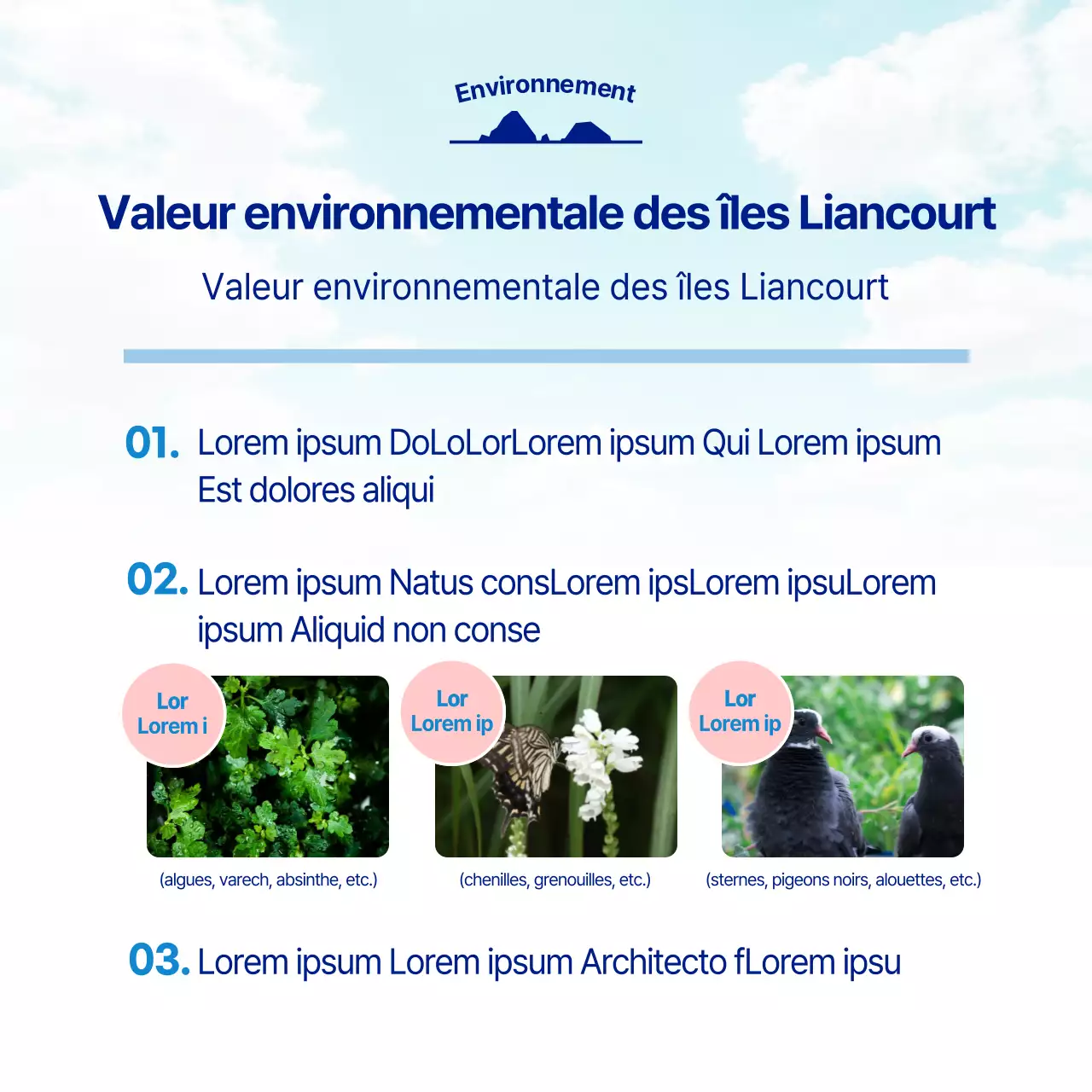 L'équipe de sensibilisation de l'université de Dokdo (bleu clair et bleu marine)