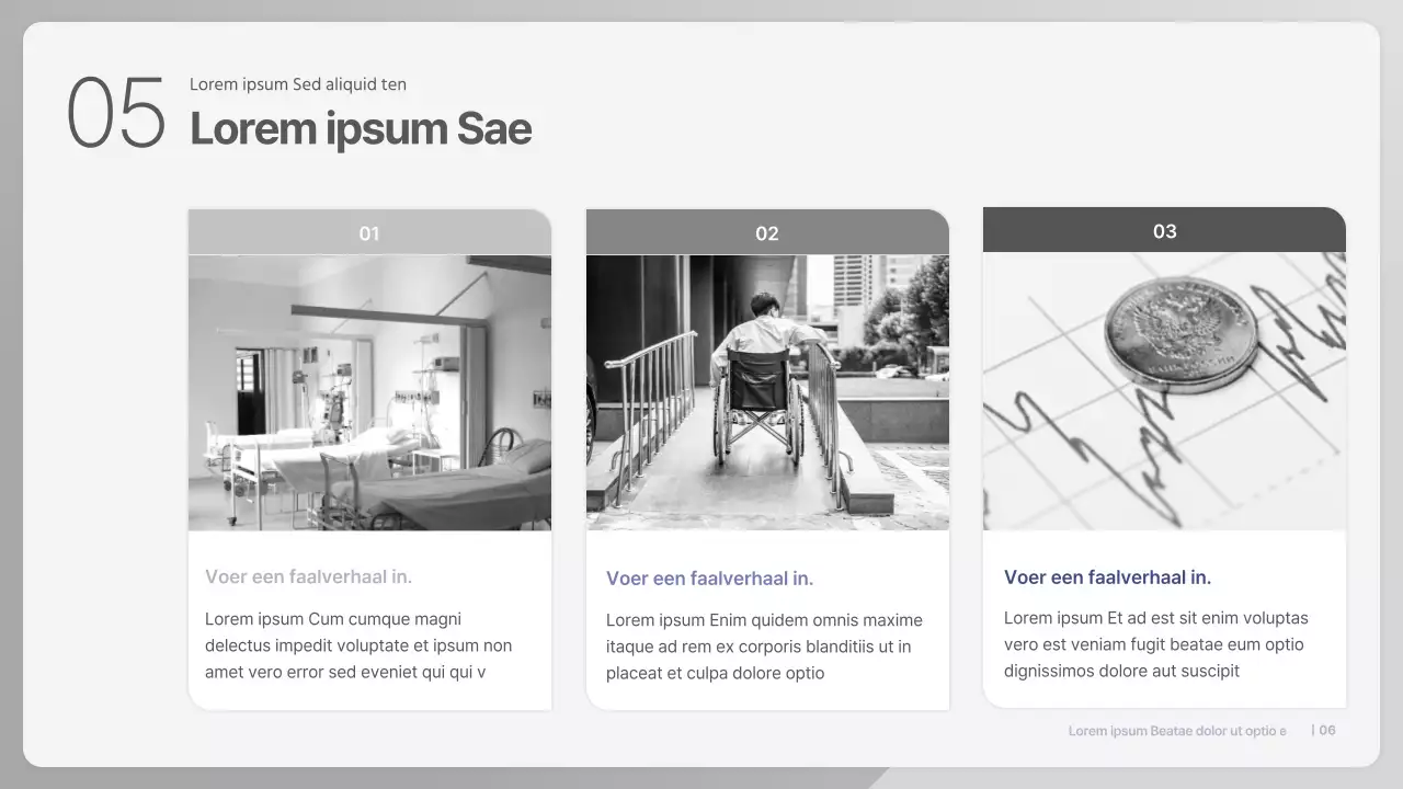 Blauwe Eenvoudige Presentatie voor het Debat over Privatisering van de Gezondheidszorg