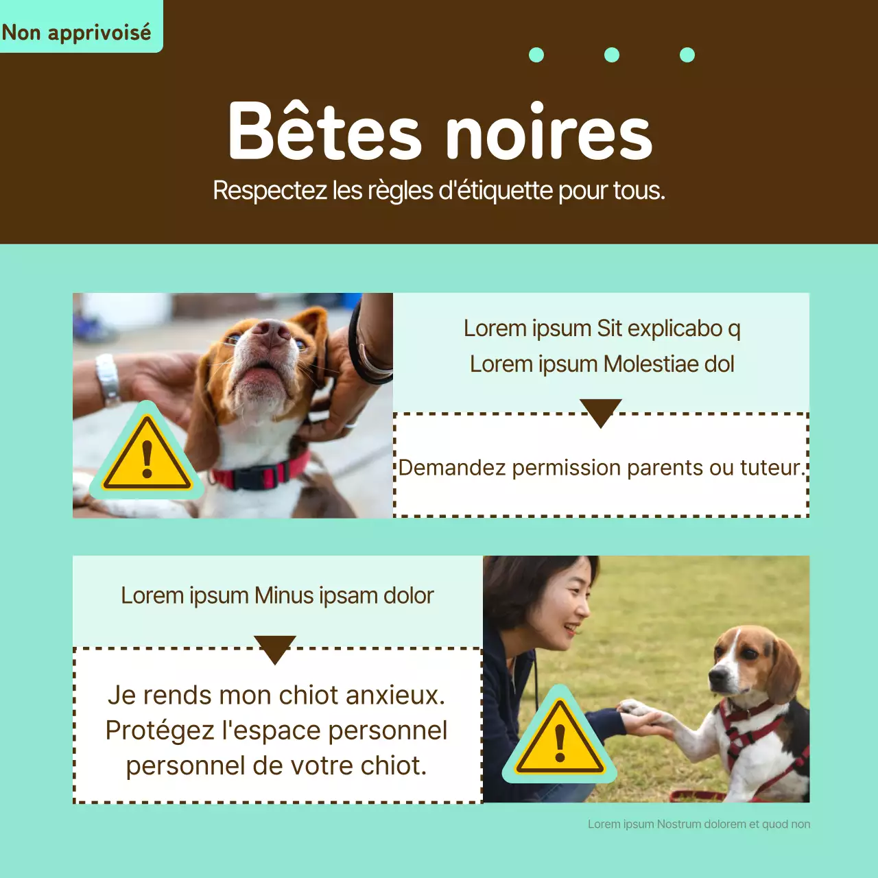 Billet d'information pour animaux de compagnie en jaune et bronze