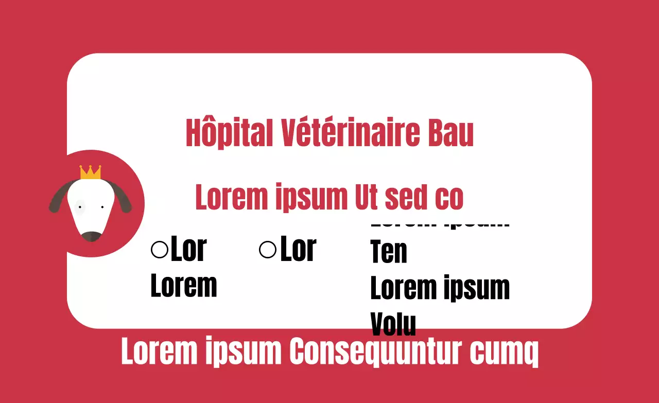 Etiquette vétérinaire à cadre carré arrondi rouge