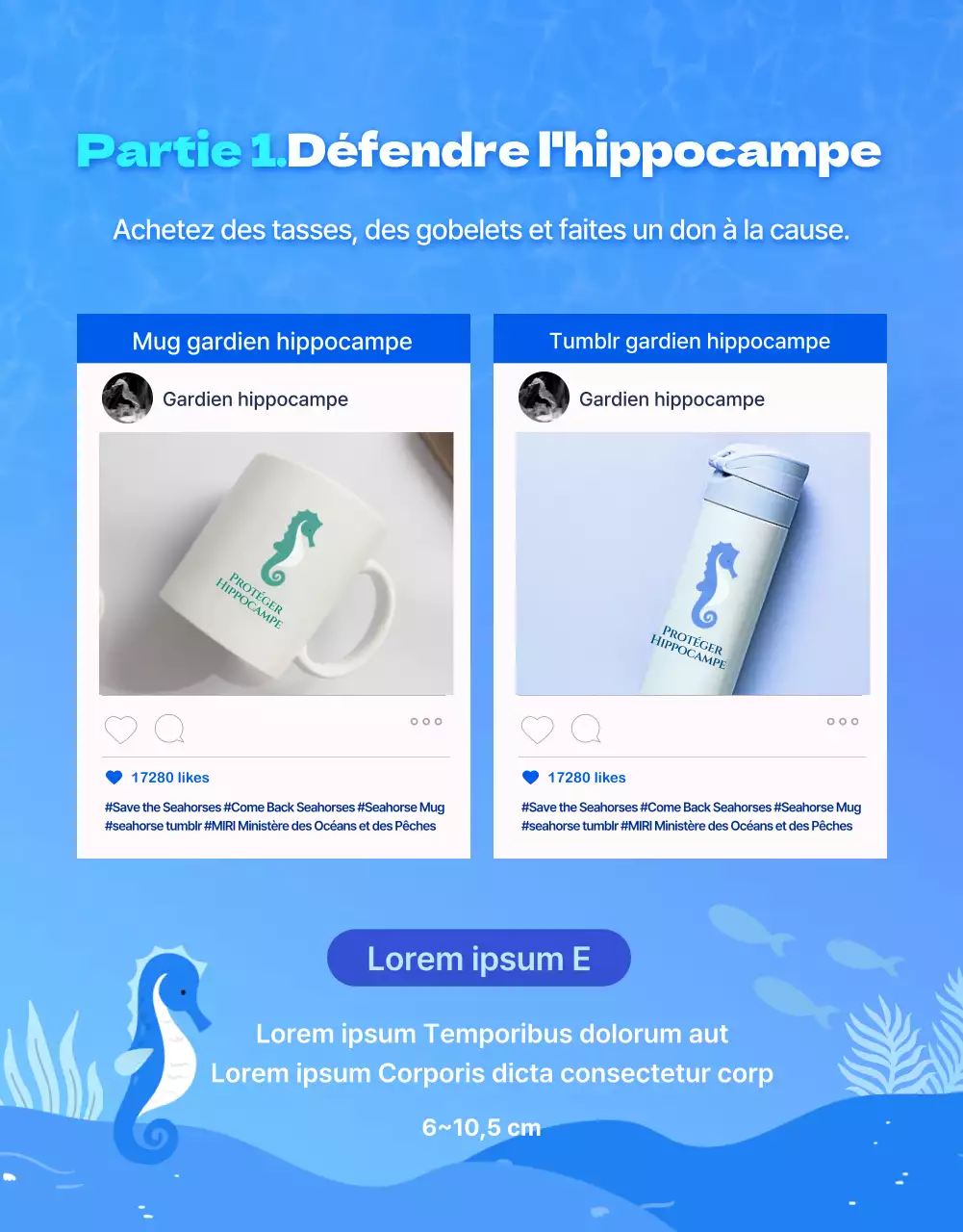 Hippocampes, la créature marine menacée dans l'eau bleue et fraîcheDétails sur le financement de la conservation des hippocampes
