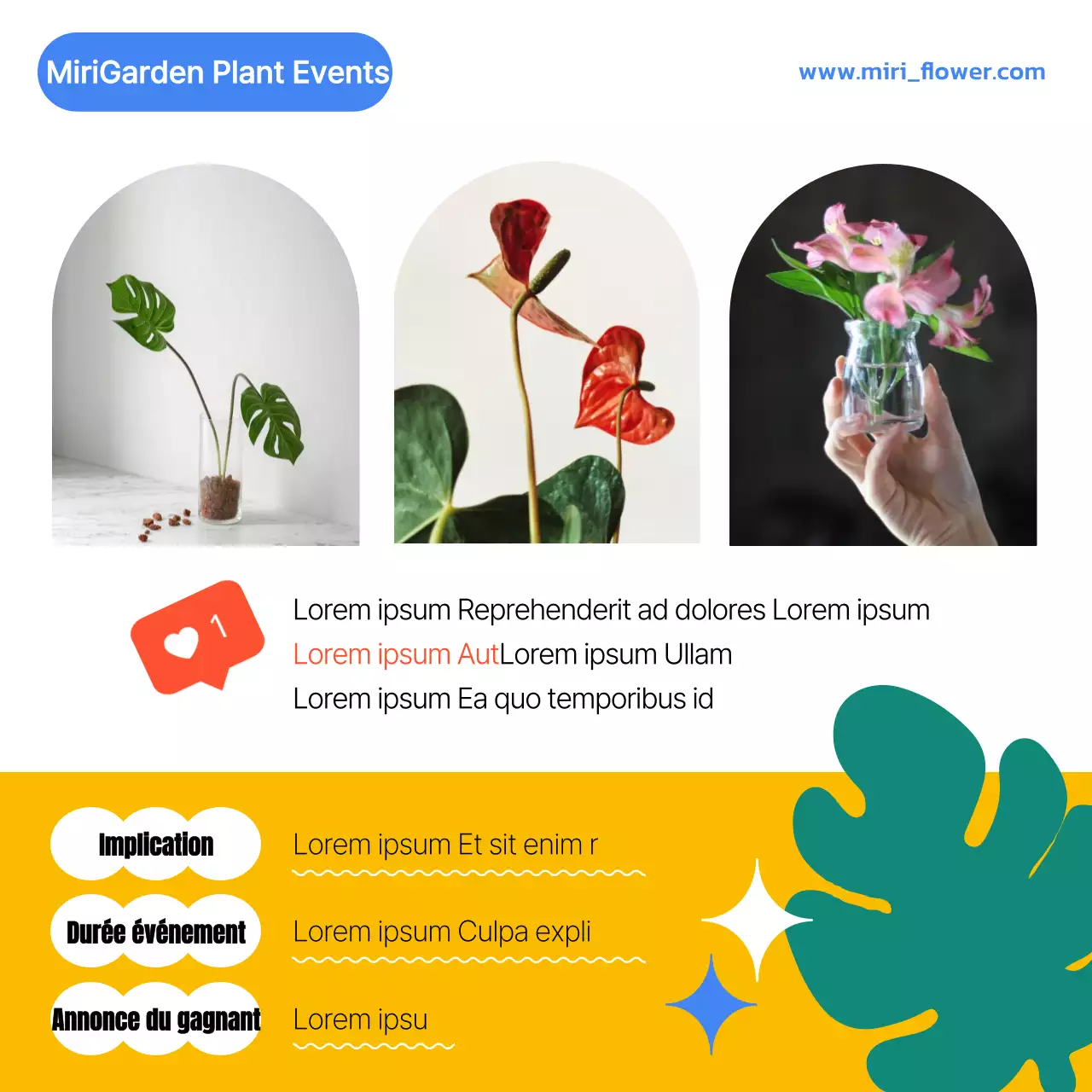 Des propositions colorées pour la technologie alimentaire