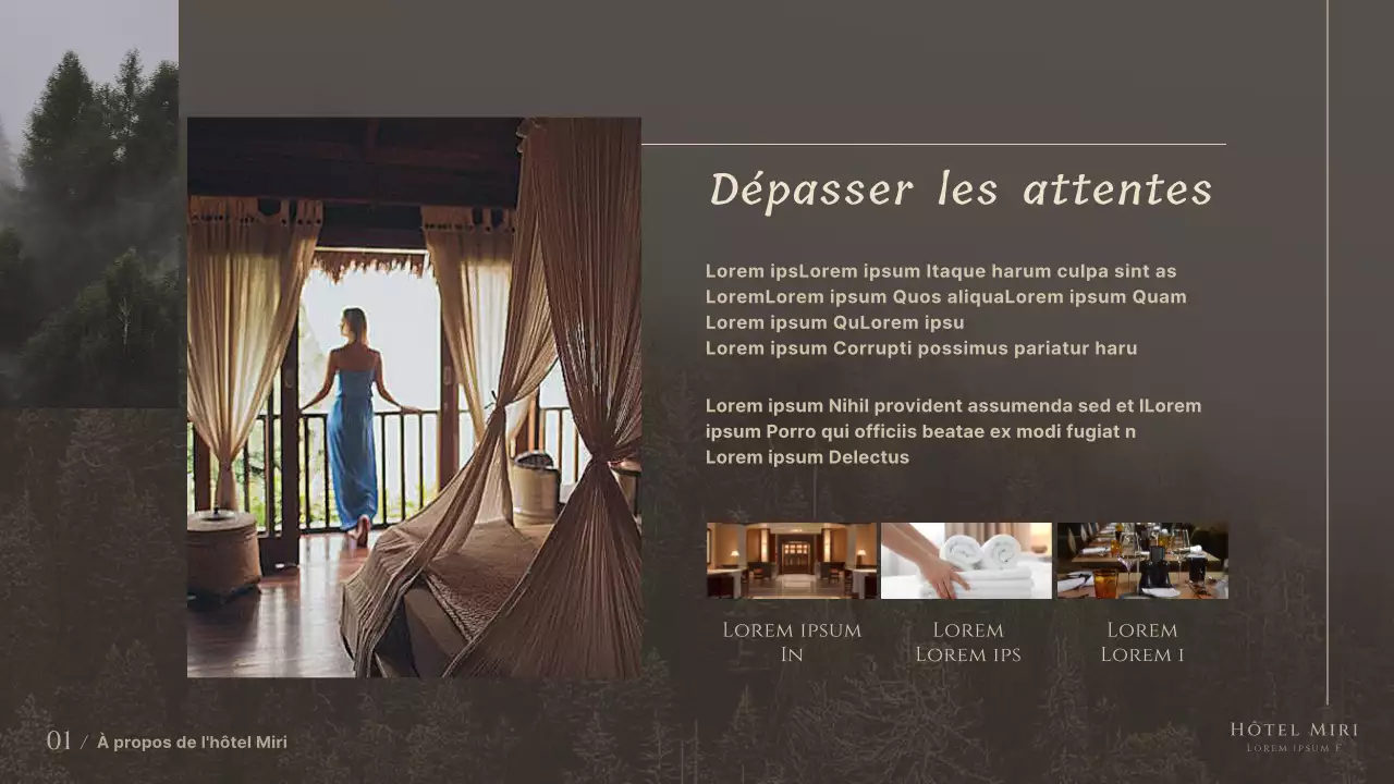 Un ensemble hôtelier moderne et luxueux dans les tons bruns et beiges Product Brief