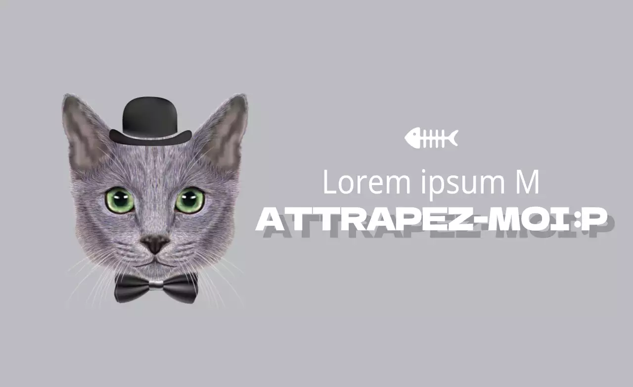 Friandises pour chiens Premium Organic