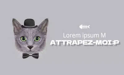 Friandises pour chiens Premium Organic