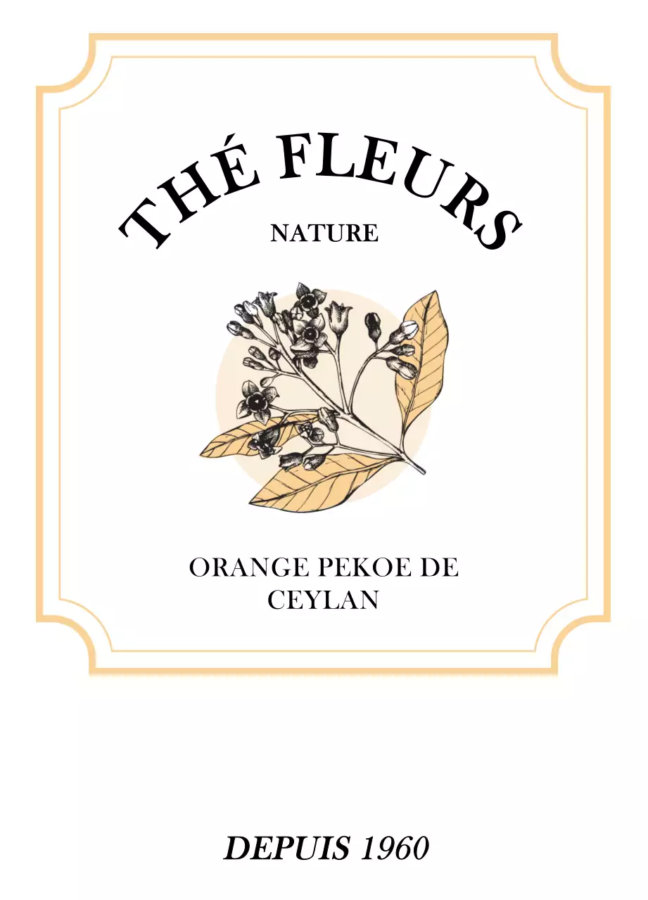 Sachets de thé luxueux avec des illustrations de plantes et de baies dans des tons orange et vert pastel.