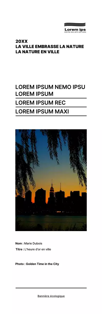 Texte noir et simple Mise en page Guide d'information sur l'exposition de photos