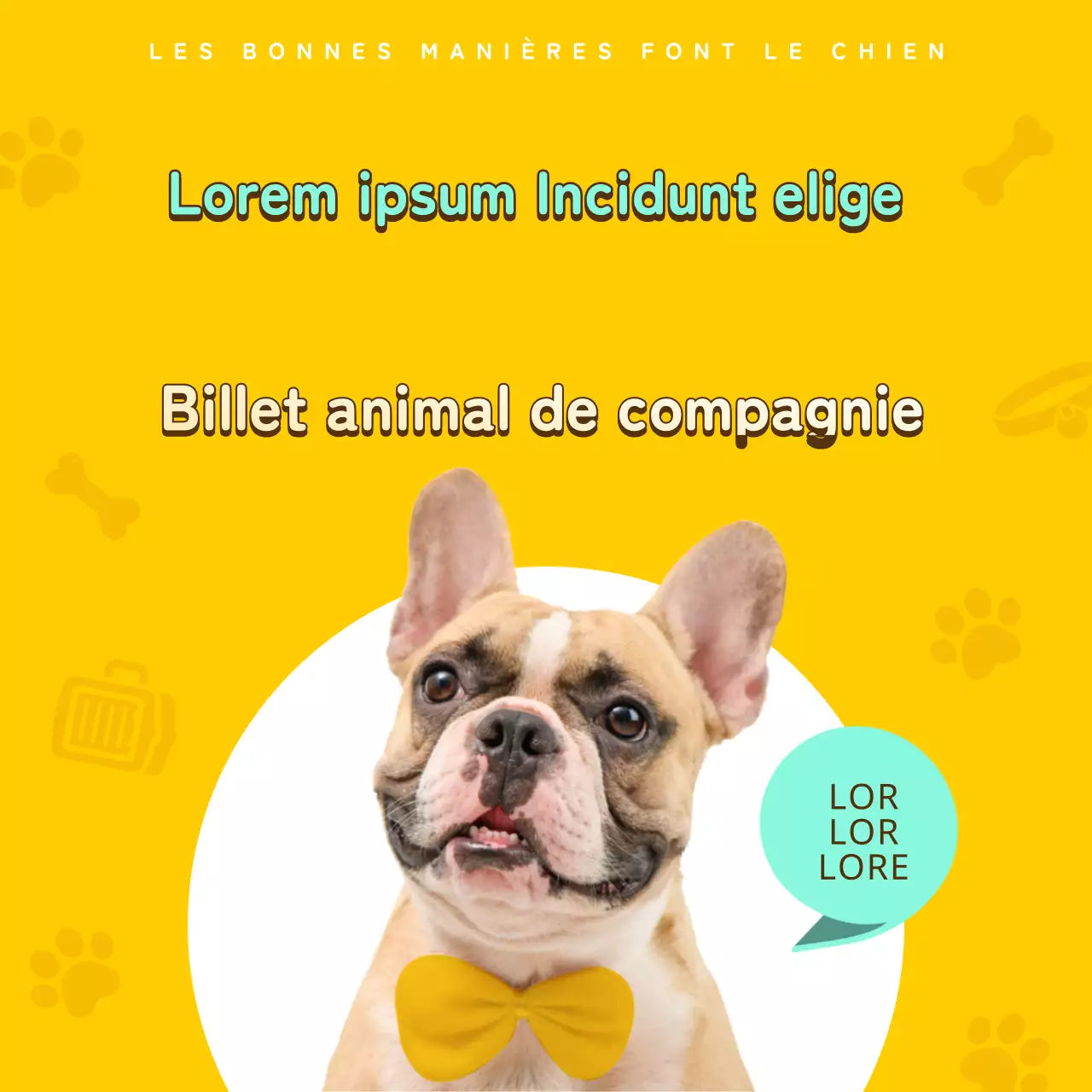 Billet d'information pour animaux de compagnie en jaune et bronze